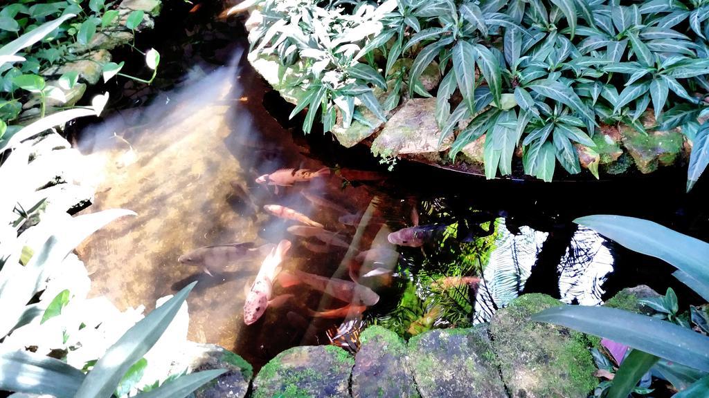 Pousada Villa Harmonia Parati Esterno foto